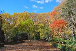 parque de la devesa girona