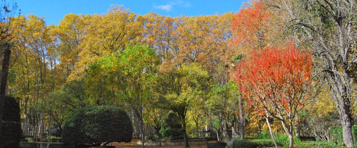 parque de la devesa girona